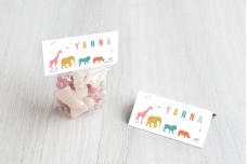 Safaridieren